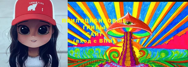 ПСИЛОЦИБИНОВЫЕ ГРИБЫ Абинск