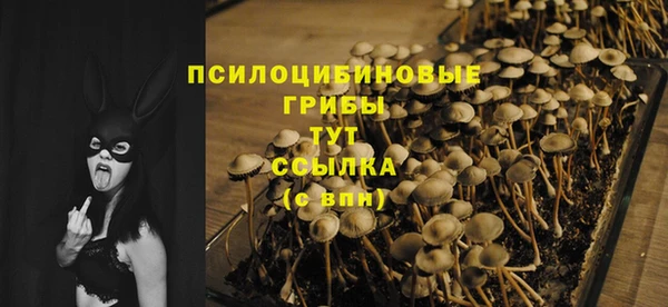 ПСИЛОЦИБИНОВЫЕ ГРИБЫ Абинск