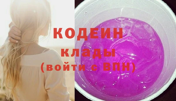 индика Россошь