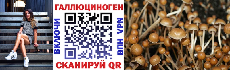 Галлюциногенные грибы мицелий  наркота  darknet клад  Талица 