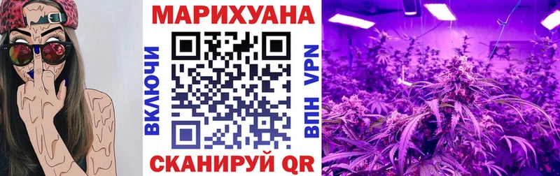 закладка  Талица  Марихуана Amnesia 